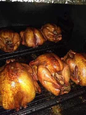 46456120_1982219608532723_7795327202282700800_n