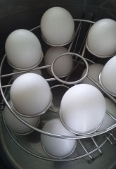 Stacking Egg Rack