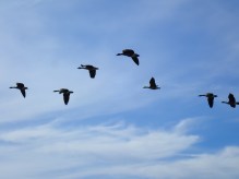 A sign summer is almost over